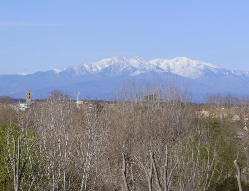Garnier Daire Argelès-sur-Mer Dış mekan fotoğraf