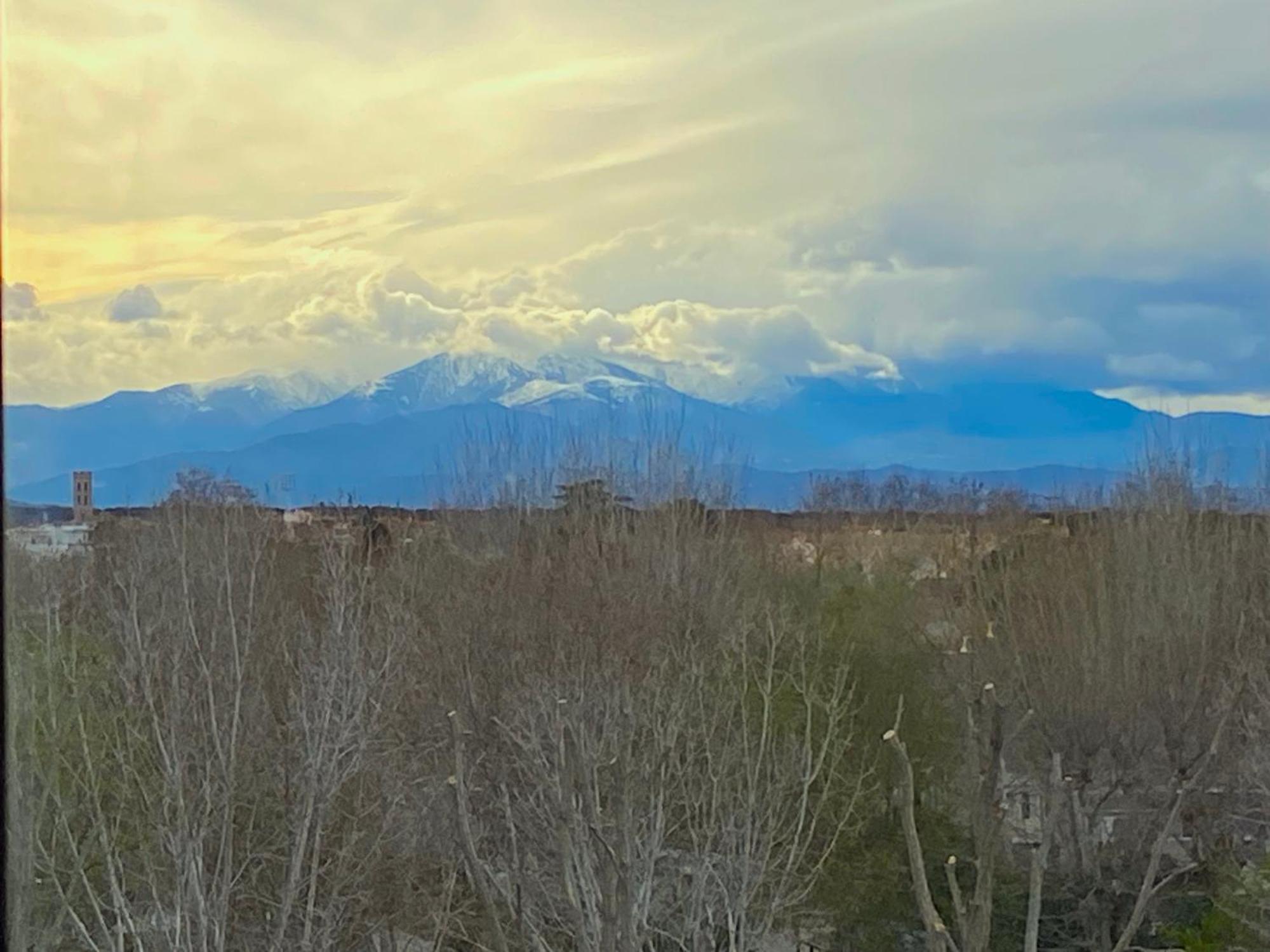 Garnier Daire Argelès-sur-Mer Dış mekan fotoğraf